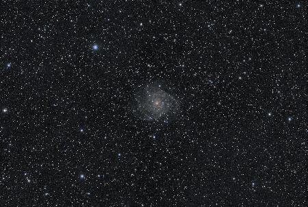 IC342_PGC13826, 2025-02-01, 20x200R 20x200G 14x200B 31x200L, APO100Q, (Red Green Blue Luminance), Toupcam_bin2x2.jpg